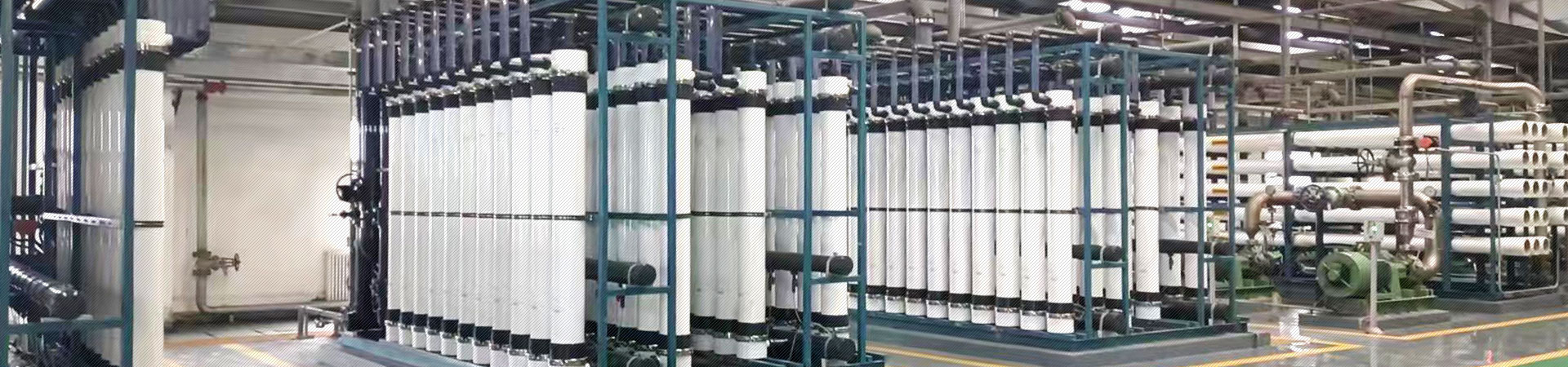資質榮譽